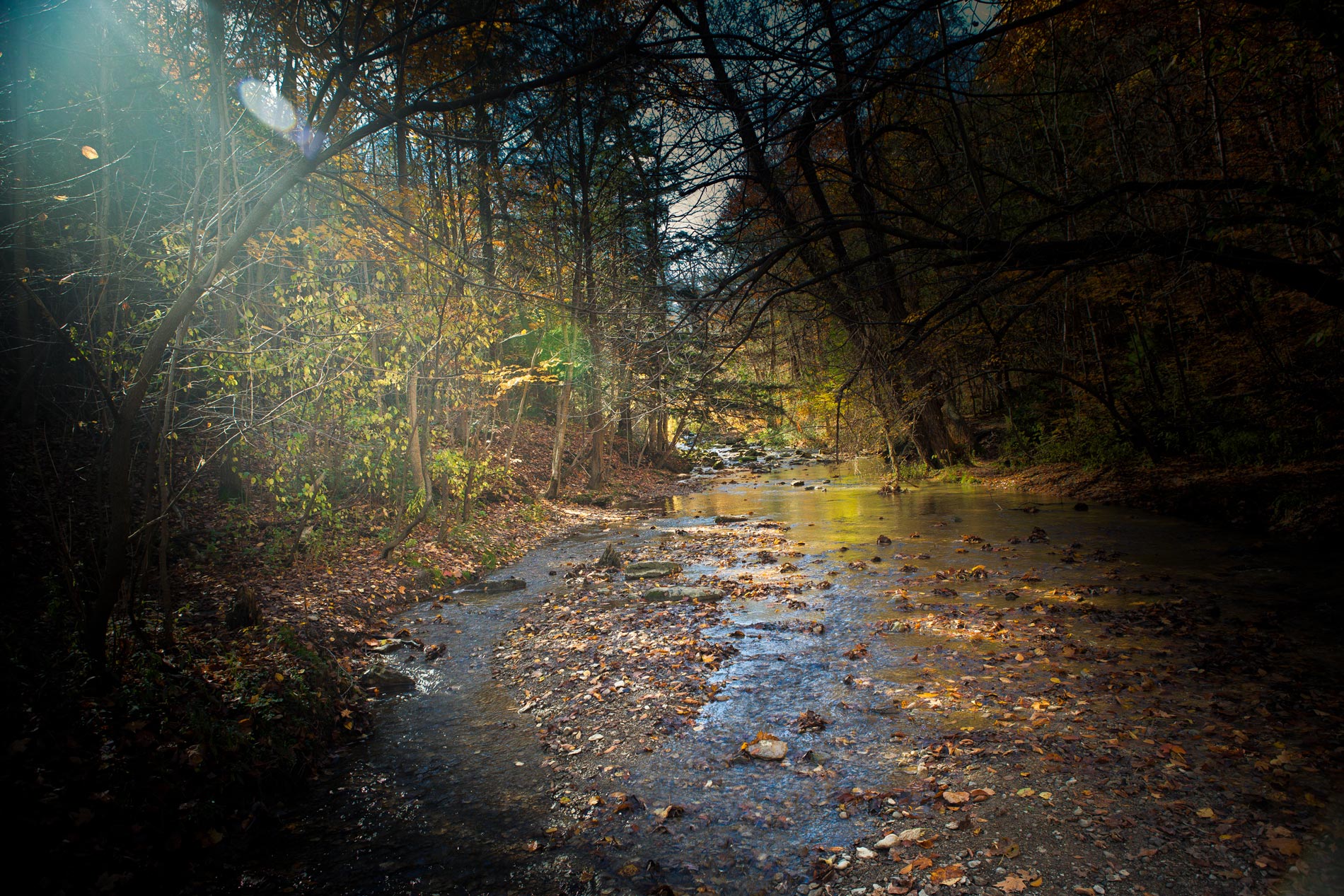 "For I know the plans I have for you, declares the Lord..." Jeremiah 29:11 Learn More